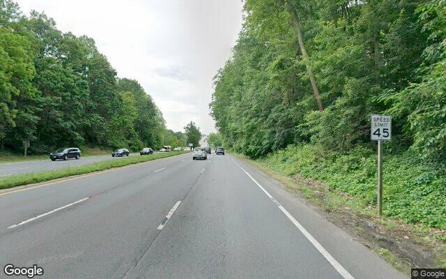 Street View capture of a divided multi-lane arterial posted at 45 mph, no sidewalk or shoulder, woods to the edge