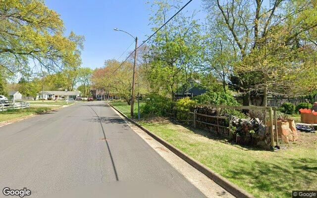 Street View capture of a quiet residential street in spring, grass verges and no sidewalk on either side